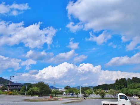 4 (3) (470x353)