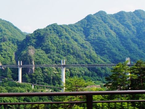P6280446 (470x353)