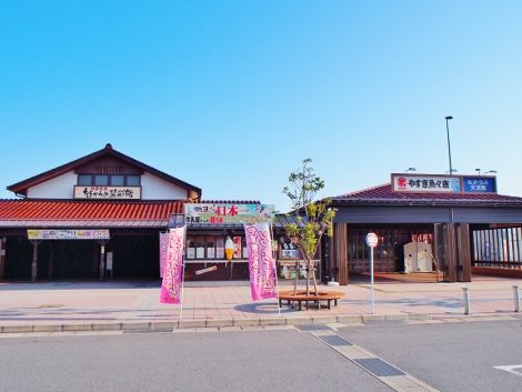 P5181754 (470x353)