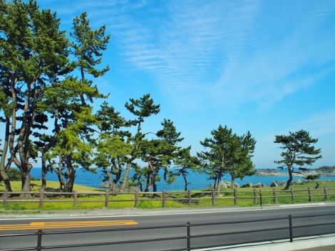 P5091189 (470x353)