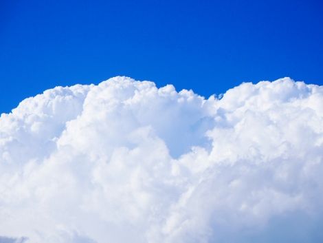 4 (4) (470x353)