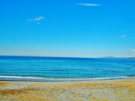P1110485 (470x353)
