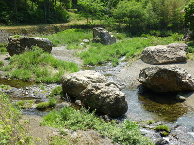 P1030575