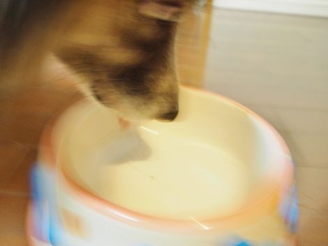 3 (13)