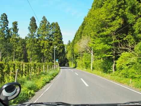 P5091181 (470x353)