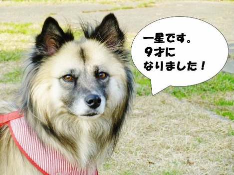 P1300986 (640x480)
