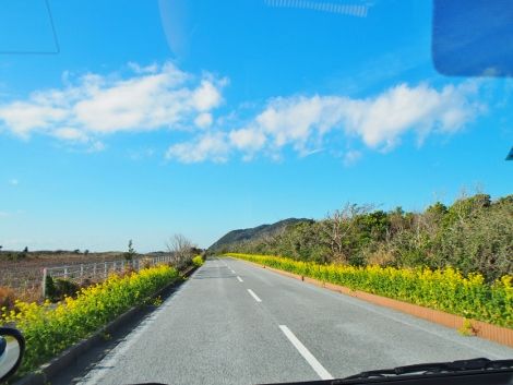P1110478 (470x353)