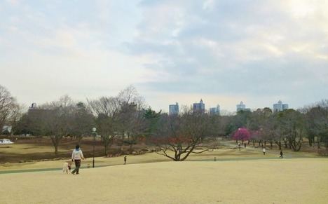P1150747 (800x497)