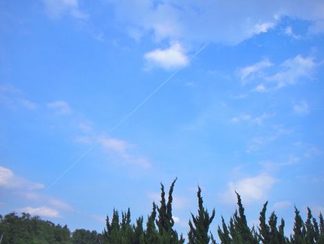 P7060175 (470x353)