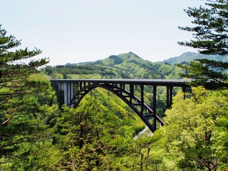 P5091085 (470x353)