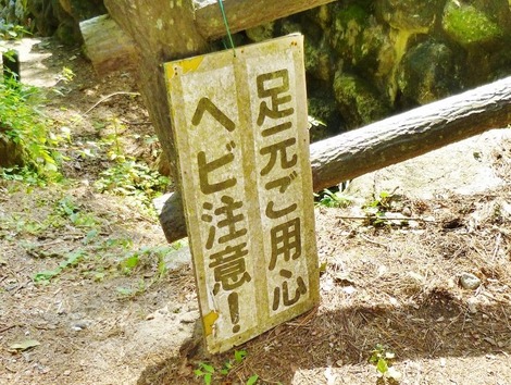 P1260815 (800x603)