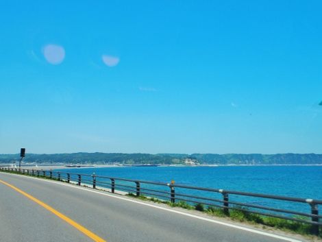 P5091102 (470x353)