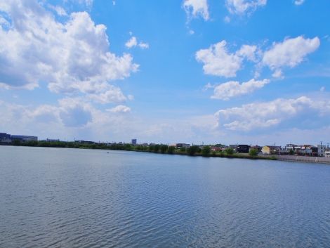 P5110069 (470x353)