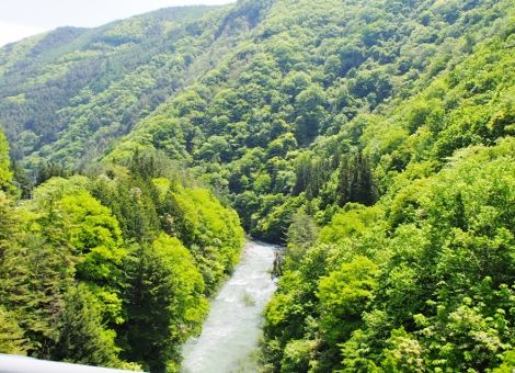 4 (8) (470x340)