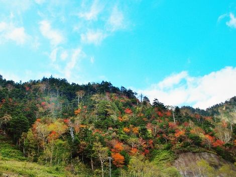PA121047 (470x352)