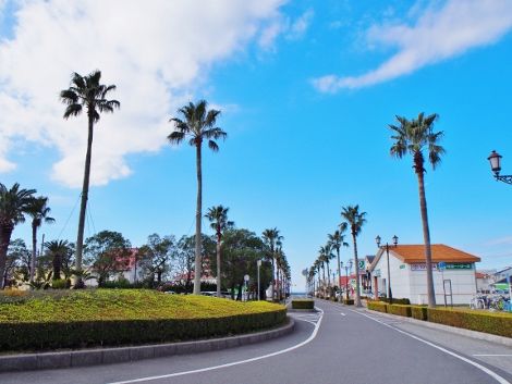 P1110410 (470x353)