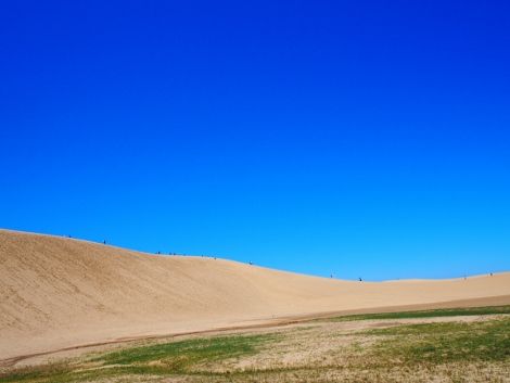 P5182085 (470x353)
