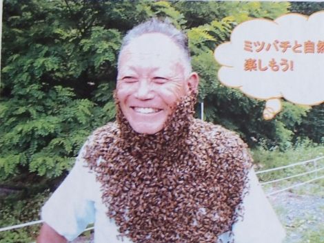 P8090456 - コピー (470x353)
