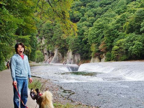 PA121218 (470x353)