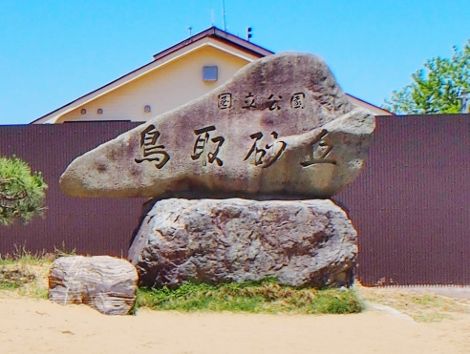 P5181862 (470x354)