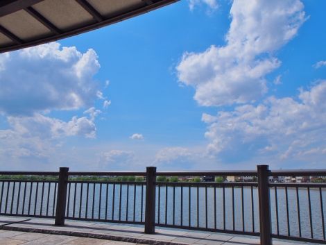 P5110118 (470x353)