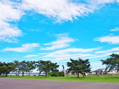 16 (1) (470x353)