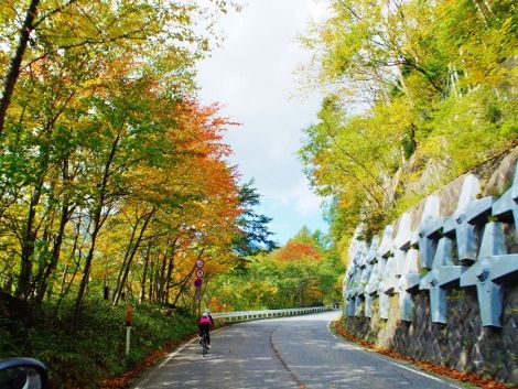 PA121036 (470x353)