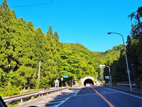 P5182114 (470x353)