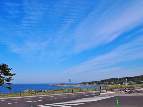 P5091193 (470x353)