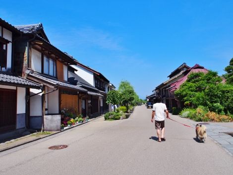 P7120107 (470x353)