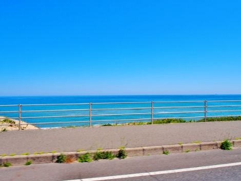 P5181807 (470x353)