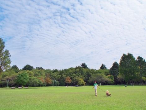 7 (4) (470x353)