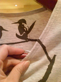 bird