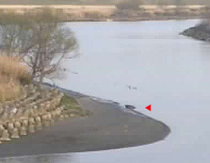 tama0403271720