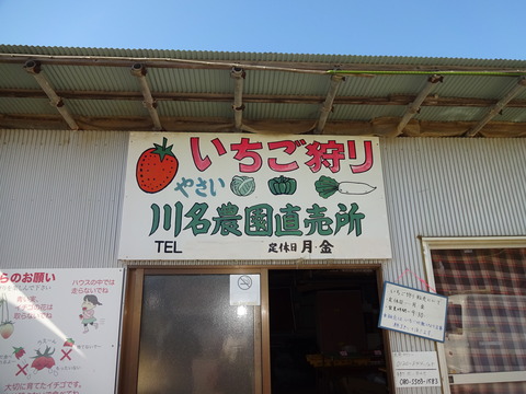 DSC02527