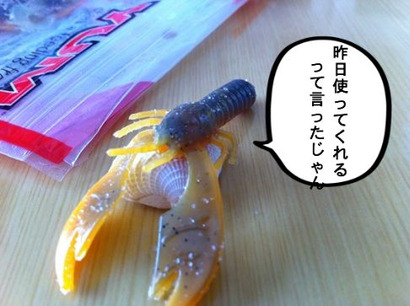 BlogPaint