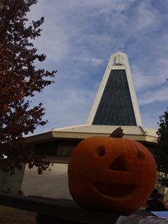 IMGP0484_R_R