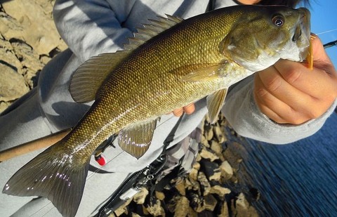 nov28small_precylake