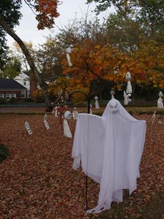 IMGP0508_R_R