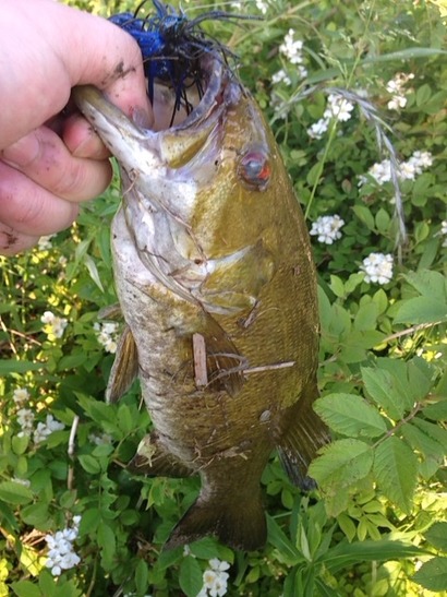 2014-05-18-17-43-44