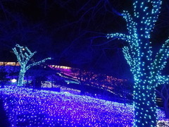 illumination1111272