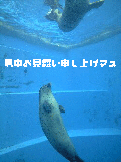 05ff20d4.gif