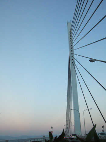 217f9e2d.jpg