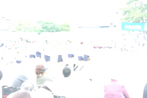 73a06925.jpg