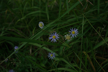 982b759a.jpg