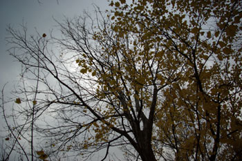 aa66f66c.jpg