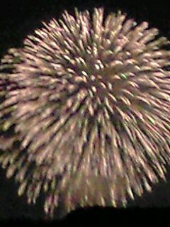 bdf80280.jpg