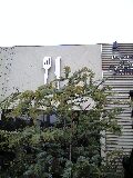 f7a4e972.jpg
