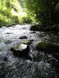 f9b33346.jpg