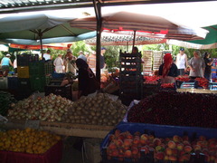 DSCF1496